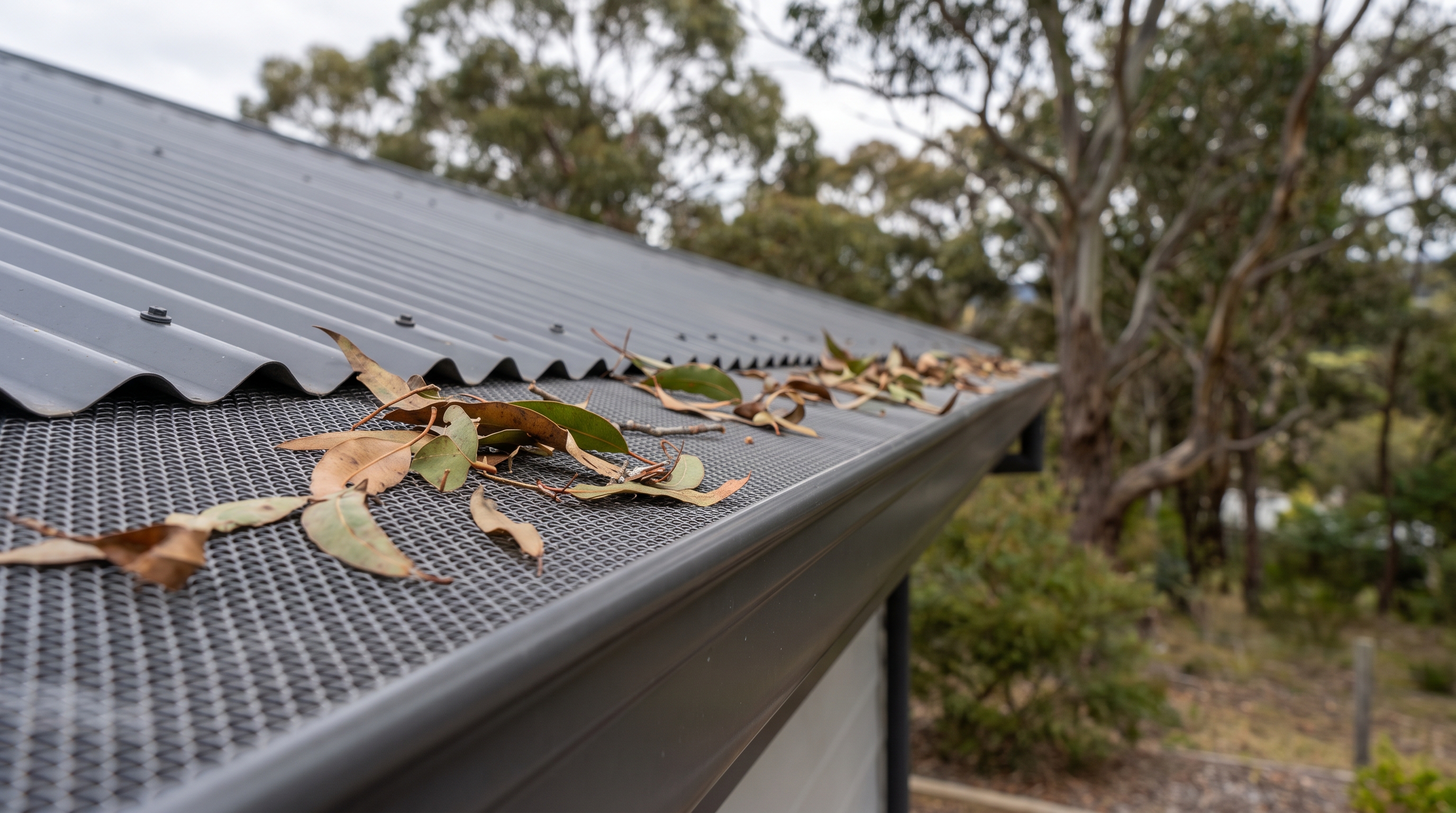 Fine aluminium mesh gutter guard fitted along the edge of a Hobart home's Colorbond roof, with a few gum leaves resting on top